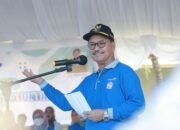 Restu Surunuddin, Duo AJP Tarung di Pilkada