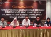 Pendaftar Calon Kepala Daerah Jalur Independen Diprediksi Sepi Peminat