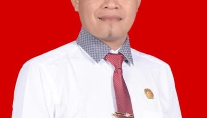 DPT Pilkada Konsel di Dominasi Generasi Milenial, Terkecil Generasi Pre Boomer