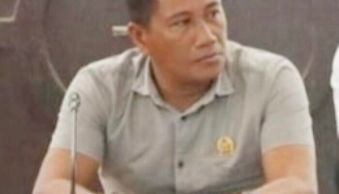 Dewan Konsel Apresiasi Pemda, Inventarisasi Randis Beri Kejelasan Anggaran Pemeliharaan