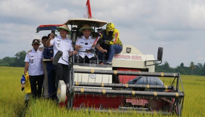 Komitmen Irham Kalenggo Wujudkan Swasembada Pangan di Konsel, Demi Mendukung Ketahanan Pangan Nasional