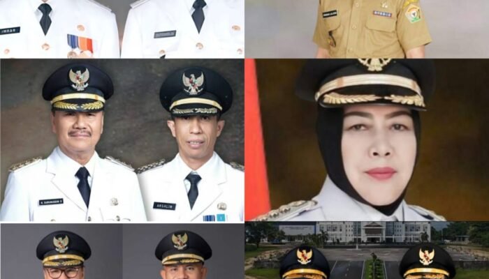 Sejarah, Deretan Bupati dan Wakil Bupati Hingga Penjabat Bupati di Kabupaten Konawe Selatan dari Masa ke Masa