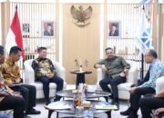 Audiensi Bersama Menteri UMKM, Irham Kalenggo Bertekad Wujudkan UMKM di Konsel Berdaya Saing
