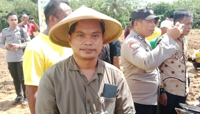 Kualitas Jagung di Muna dan Muna Barat Menurun, Bulog Ingatkan Kadar Air harus Penuhi Standar