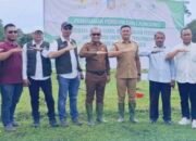 Kementerian Kehutanan dan Pemda Konsel Siapkan 25 Ribu Hektar Lahan untuk Budidaya Tanaman Gamal