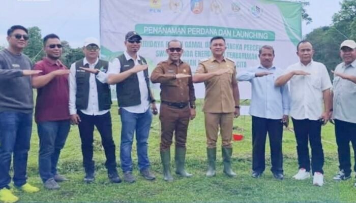 Kementerian Kehutanan dan Pemda Konsel Siapkan 25 Ribu Hektar Lahan untuk Budidaya Tanaman Gamal