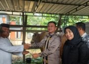 Wabup Konsel Serahkan Sapi Kurban Presiden Prabowo Berbobot 974 Kilogram