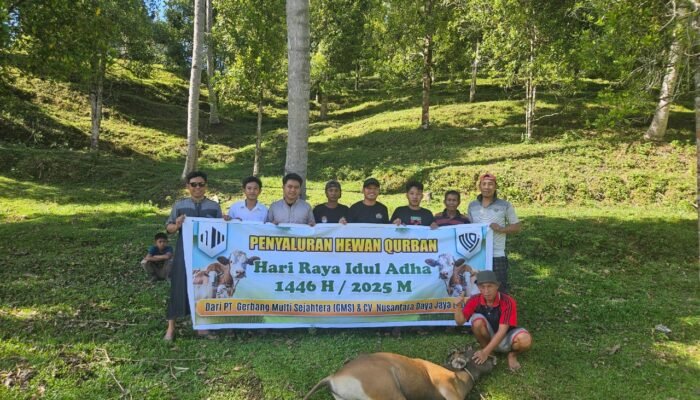 PT GMS dan CV NDJ Salurkan 20 Ekor Sapi Kurban bagi Masyarakat Lingkar Tambang