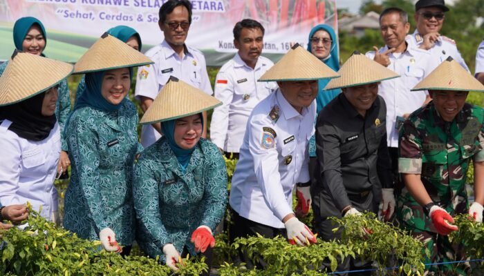 Dorong Ketahanan Pangan dan Cegah Inflasi Pemda Sukses Gelar Gerakan Tanam Cabai Serentak