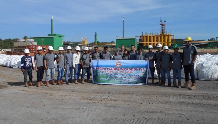 Sempat Beroperasi dan Ekspor NPI, Ini Alasan Smelter PT Ifishdeco Tbk Stop Produksi