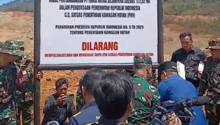 Garap Kawasan Hutan Tanpa Dokumen PPKH, Satgas PKH Segel 172 Hektare Lahan PT TMS di Kabaena