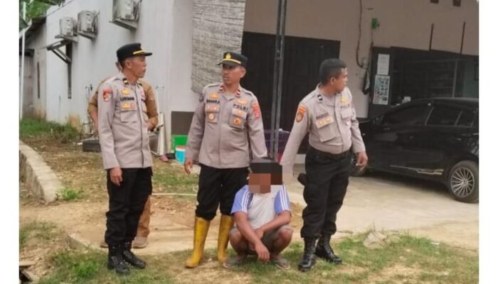 Kecanduan Narkoba Warga Kelurahan Waumere Nekat Curi Sapi