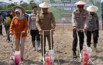 Wakil Bupati Konawe Selatan, H Wahyu Ade Pratama Imran SH bersama jajaran Polda Sultra dan Kapolsek Konda, Dr Ribka Diana Linsay Siwi SH MM saat penanaman jagung serentak kuartal IV di Desa Lamomea. Kegiatan itu sebagai aksi nyata program Presiden Prabowo Subianto dalam mewujudkan swasembada pangan, Rabu (8/10/2025).