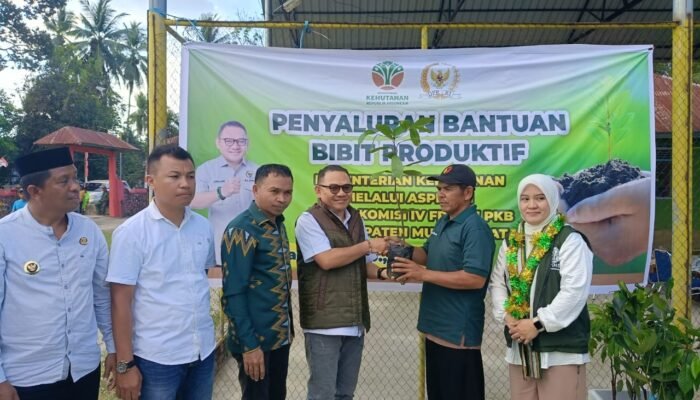 Jaelani Sosialisasi dan Gelar Bimtek Rehabilitasi Lahan, Serahkan Ribuan Bibit Produktif di Muna Barat