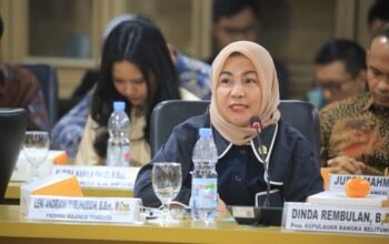 Anggota DPD RI Leni Andriani Dorong Pembangunan Green Smelter dan Penerapan Investasi Ramah Lingkungan di Sultra