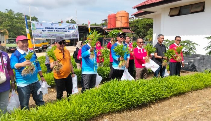 Wujudkan Ketahanan Pangan, Ketua Komisi III DPRD Kendari Dukung Program ‘Kendari Berkebun’