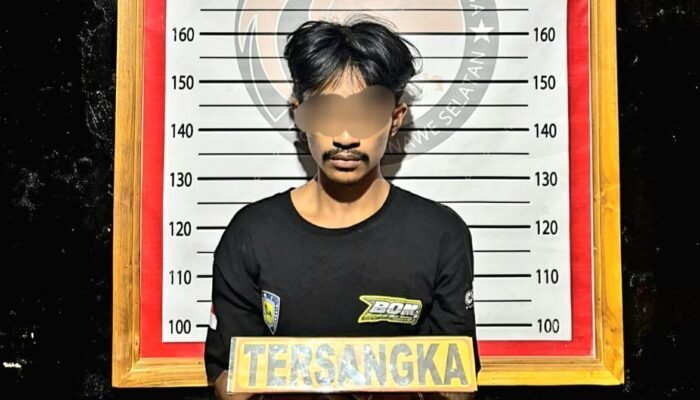 Polres Konsel Ringkus Pengedar Sabu di Lainea, Sita 29 Saset Siap Edar