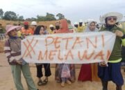 Aktivitas PT IPIP Diduga Cemari  Persawahan Petani Dua Desa di Pomalaa