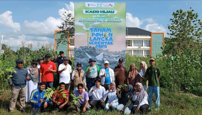 Majelis LH Muhammadiyah Sultra Tanam 50 Pohon Endemik di Lingkungan Fakultas Kedokteran Muhammadiyah di Konda