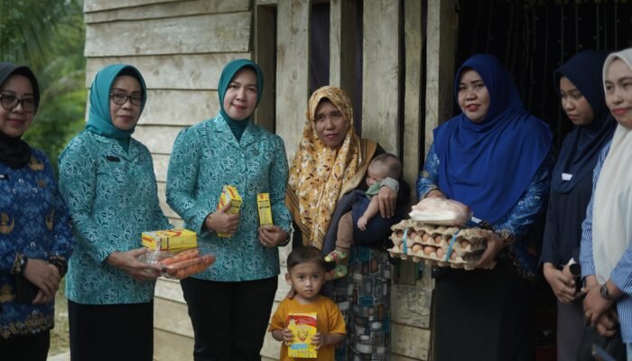 Ketua TP-PKK Konsel Pimpin Aksi Cegah Stunting dalam Peringatan Hari Ibu ke-97