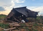 JPLK Sultra Tuding PT Marketindo Selaras Melanggar HAM, Bakar dan Rusak Rumah Kebun Milik Petani di Angata