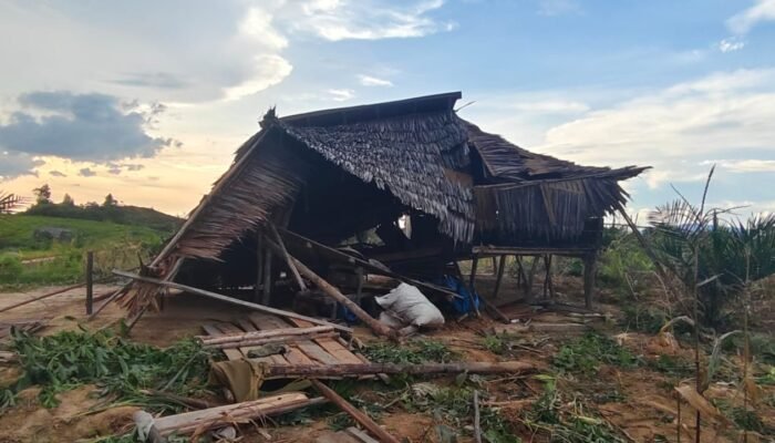 JPLK Sultra Tuding PT Marketindo Selaras Melanggar HAM, Bakar dan Rusak Rumah Kebun Milik Petani di Angata