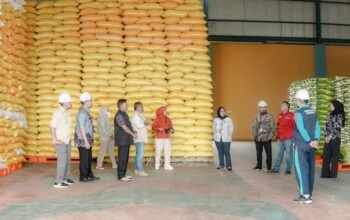 Jelang Ramadan, Stok Beras di Gudang Blog Konsel Dipastikan Aman
