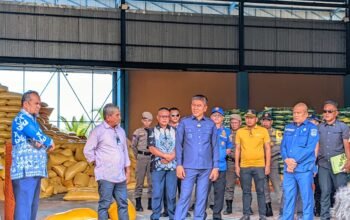 Konawe Selatan Suplai 1.000 Ton Beras ke Bitung