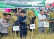 Dukung Swasembada Pangan Nasional, Bupati Irham Kalenggo Panen Raya Padi Sawah di Potoro