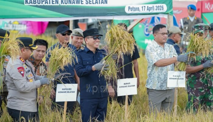 Dukung Swasembada Pangan Nasional, Bupati Irham Kalenggo Panen Raya Padi Sawah di Potoro