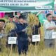 Dukung Swasembada Pangan Nasional, Bupati Irham Kalenggo Panen Raya Padi Sawah di Potoro