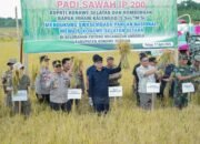 Panen Raya Padi Sawah di Potoro Tegaskan Arah Konsel Menuju Lumbung Pangan Nasional dan Penopang Pangan di Sultra