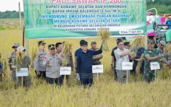 Panen Raya Padi Sawah di Potoro Tegaskan Arah Konsel Menuju Lumbung Pangan Nasional dan Penopang Pangan di Sultra