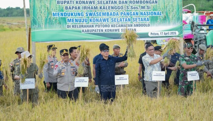 Panen Raya Padi Sawah di Potoro Tegaskan Arah Konsel Menuju Lumbung Pangan Nasional dan Penopang Pangan di Sultra