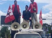 Konsorsium Sultra untuk Routa Desak PT SCM Bangun Smelter dan Bongkar Dugaan Pelanggaran PT SCM di Routa