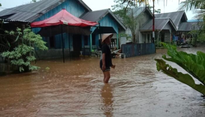 Curah Hujan Tinggi Melanda Konawe Selatan, Sejumlah Desa Terendam Banjir