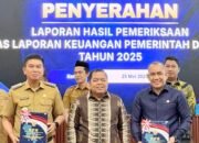 Pemda Konawe Selatan Raih Opini WTP, Bukti Kepatutan Pengelolaan Keuangan