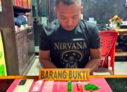 Narkoba Sasar Pelosok Desa di Konsel, Polres Konsel Bekuk Pengedar dan Sita Puluhan Pake Sabu Siap Edar