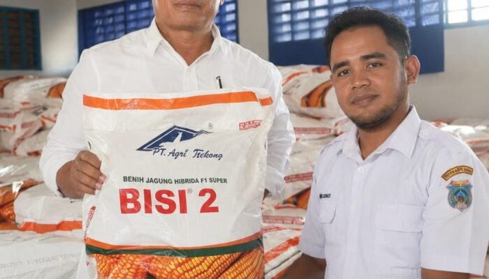 Muna Barat Terima 52,5 Ton Bibit Jagung dari Kementan RI