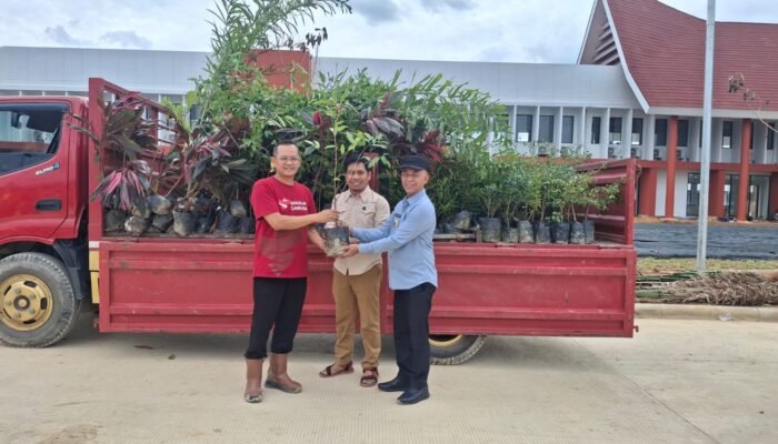 Pemda Konsel Serahkan 450 Tanaman Bunga di SMA Garuda