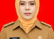 PHK Karyawan PT WIN, Disnakertrans Konsel : Perundingan Bipartit Perlu Diutamakan