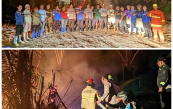 Kebakaran Hutan dan Kebun Sawit Landa Konawe Selatan, Damkarmat dan Polres Imbau Warga Tak Picu Pembakaran