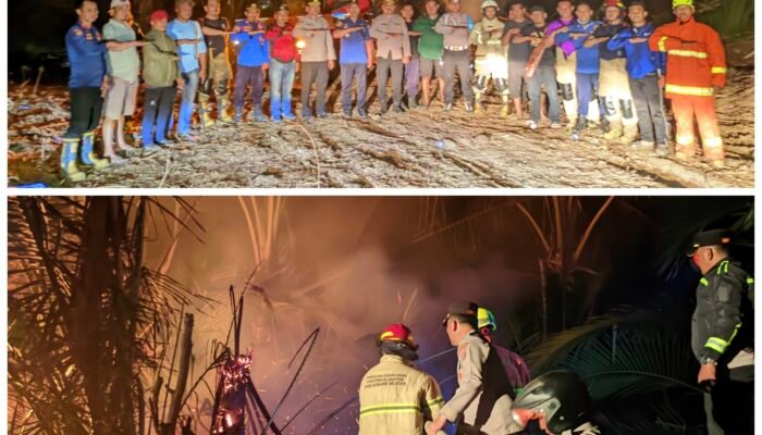 Kebakaran Hutan dan Kebun Sawit Landa Konawe Selatan, Damkarmat dan Polres Imbau Warga Tak Picu Pembakaran