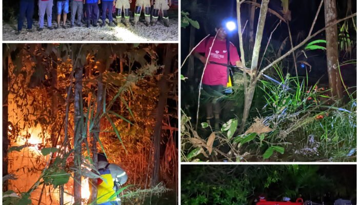 Karhutla Landa 2 Hektar Lahan di Konsel, Damkarmat, Polri dan TNI Bergerak Cepat Lakukan Pemadaman