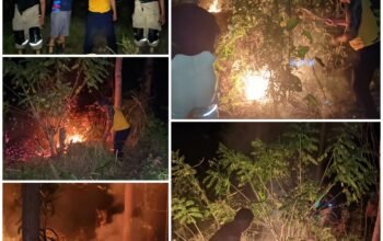 Lagi, Damkarmat Konsel Atasi Karhutla di Desa Wunduwatu