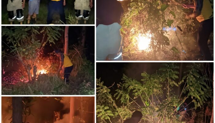 Lagi, Damkarmat Konsel Atasi Karhutla di Desa Wunduwatu