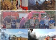Lagi, Damkarmat Konsel Atasi Kebakaran di Desa Anese
