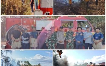 Lagi, Damkarmat Konsel Atasi Kebakaran di Desa Anese