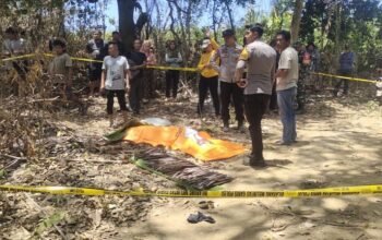 Geger, Warga Temukan Mayat Wanita di Kebun Desa Roraya