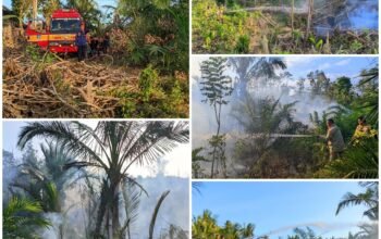 Satu Hektar Karhutla di Desa Watumerembe Dilalap Si Jago Merah